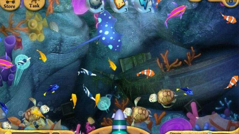 Một số lưu ý đặc biệt quan trọng cần nắm